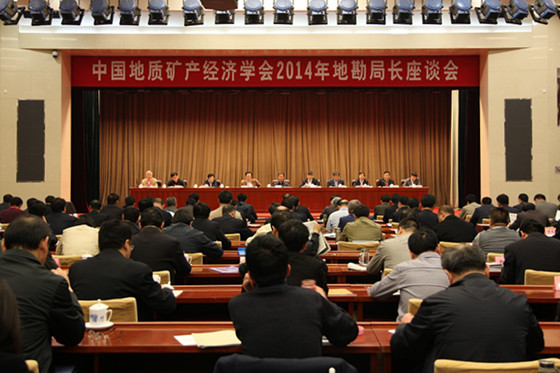中国地质矿产经济学会2014年地勘局长座谈会在京召开